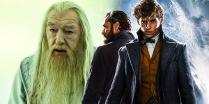 Read more about the article Dumbledore ගෙ රහස්