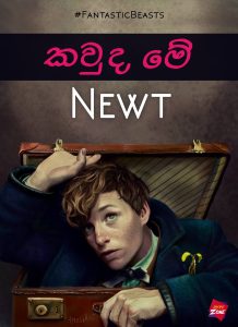 Read more about the article කවුද මේ Newt?